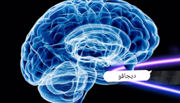 نظرية ديجافو بين العلم والفلسفة
