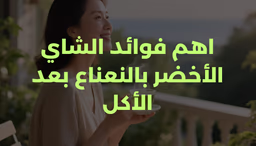 اهم فوائد الشاي الأخضر بالنعناع بعد الأكل
