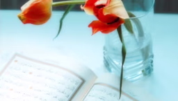 كيفية ختم القرآن الكريم في شهر رمضان