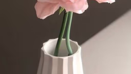 السعوديه قلب العروبه والوطن العربي