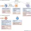 Modulation of the immune system by UV radiation: more than just the effects of vitamin D? - Nature Reviews Immunology