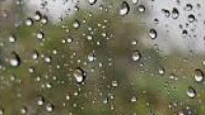 السعادة بين الحقيقة والأوهام