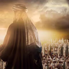محمد عبد الباري محمد عبد الباري
