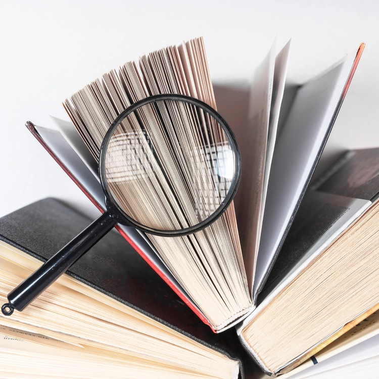 مرحلة الإكتشاف والتحقيق