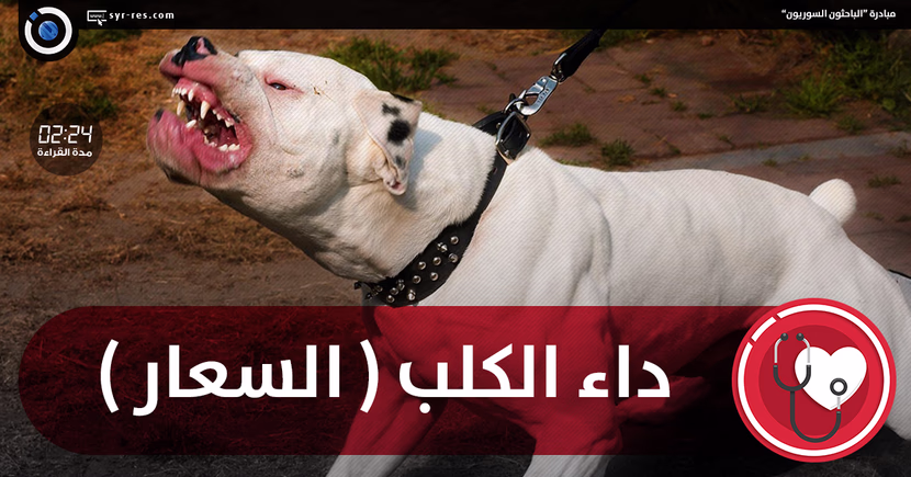 تربية القطط في المنزل: الأمراض التي تنتقل من القطط للانسان، المخاطر الصحية، وفوائد التربية"