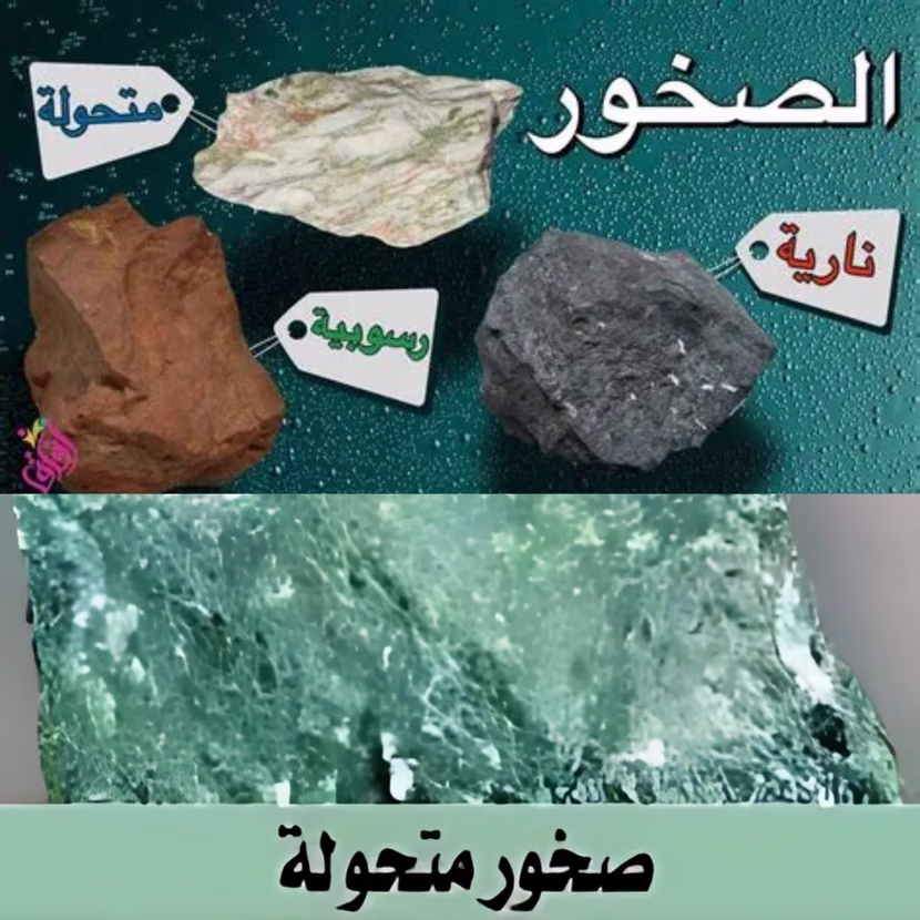 فوائد واستعملات الصخور الرسوبيّة 
 علوم الحياة والأرض: السنة السابعة أساسي ثلاثي2