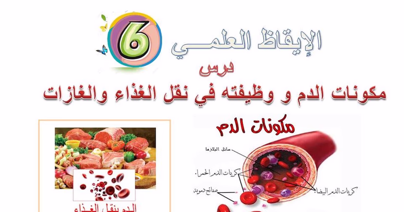 الدم ينقل الغذاء