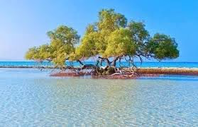 لماذا تتجه أنظار العالم إلى السياحة العربية؟