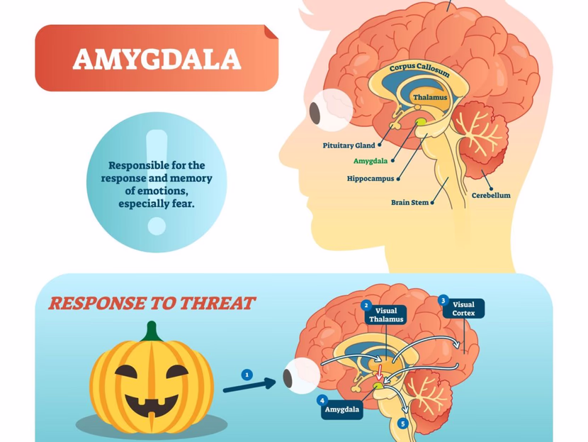 الخوف من التغيير مش كسل....ده دماغك بيشغل وضع الحماية