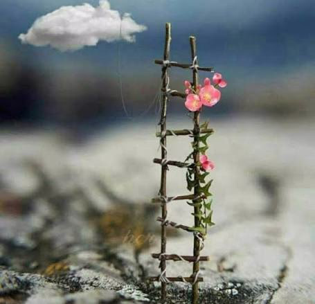 الواحة الداخلية