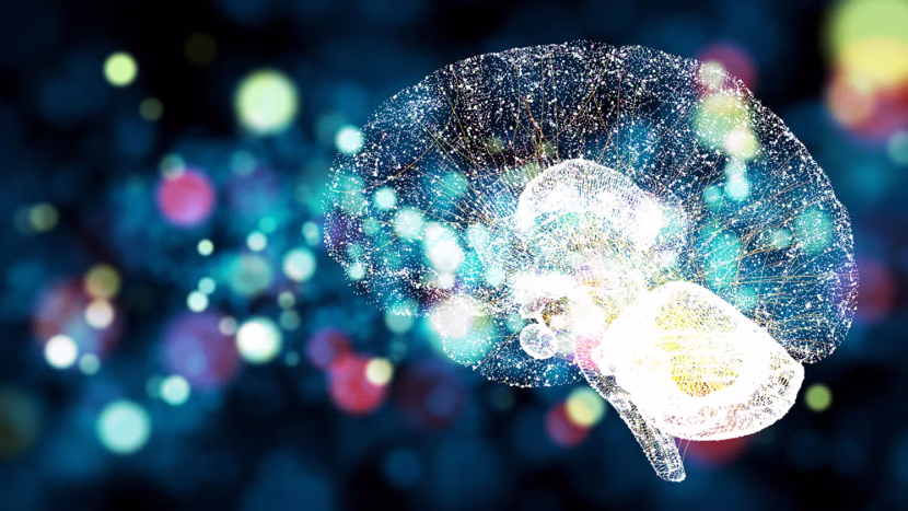 هل التخطيط اهم من الاستمرارية ؟ المخ ومحاولته في ترجمة التخطيط والاستمرارية.