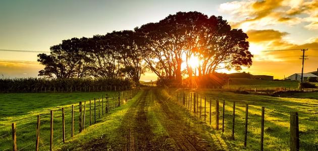 الحياة في الريف