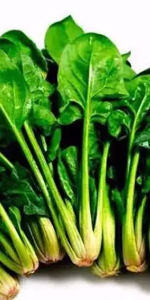 أفضل 10 أطعمة طبيعية تعزز المناعة في فصل الشتاء