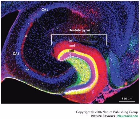 قوة الملل: ليه الفراغ هو الشرارة اللي تشعل الإبداع في دماغك؟