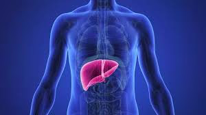 العلاقة بين كل من اعطعمتنا  ومشروباتنا بصحة الكبد