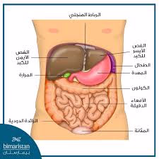 حقائق وأسرار صادمة ومذهلة عن جسمك: اكتشف ما يخفيه جسمك عنك.