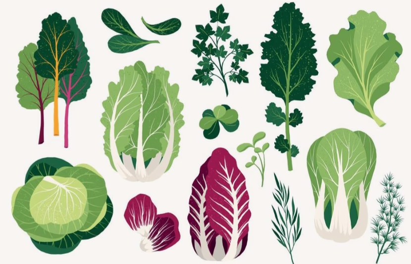 🥗 التغذية الصحية… سرّ الحياة المتوازنة