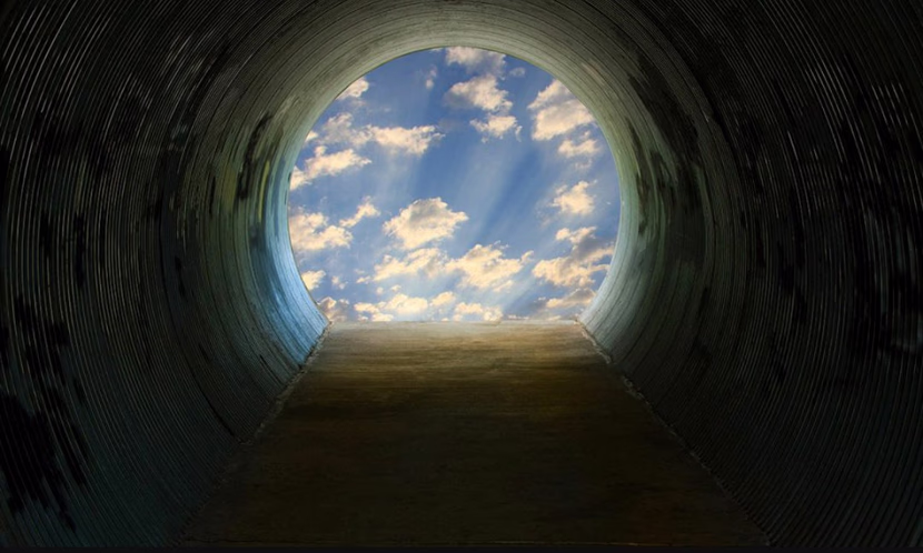 فطرة الطبيعة وشذوذ الإنسان