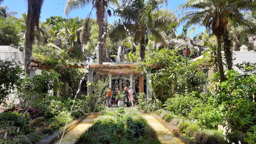 أليس تعيش حلمًا عجيبًا في الحديقة