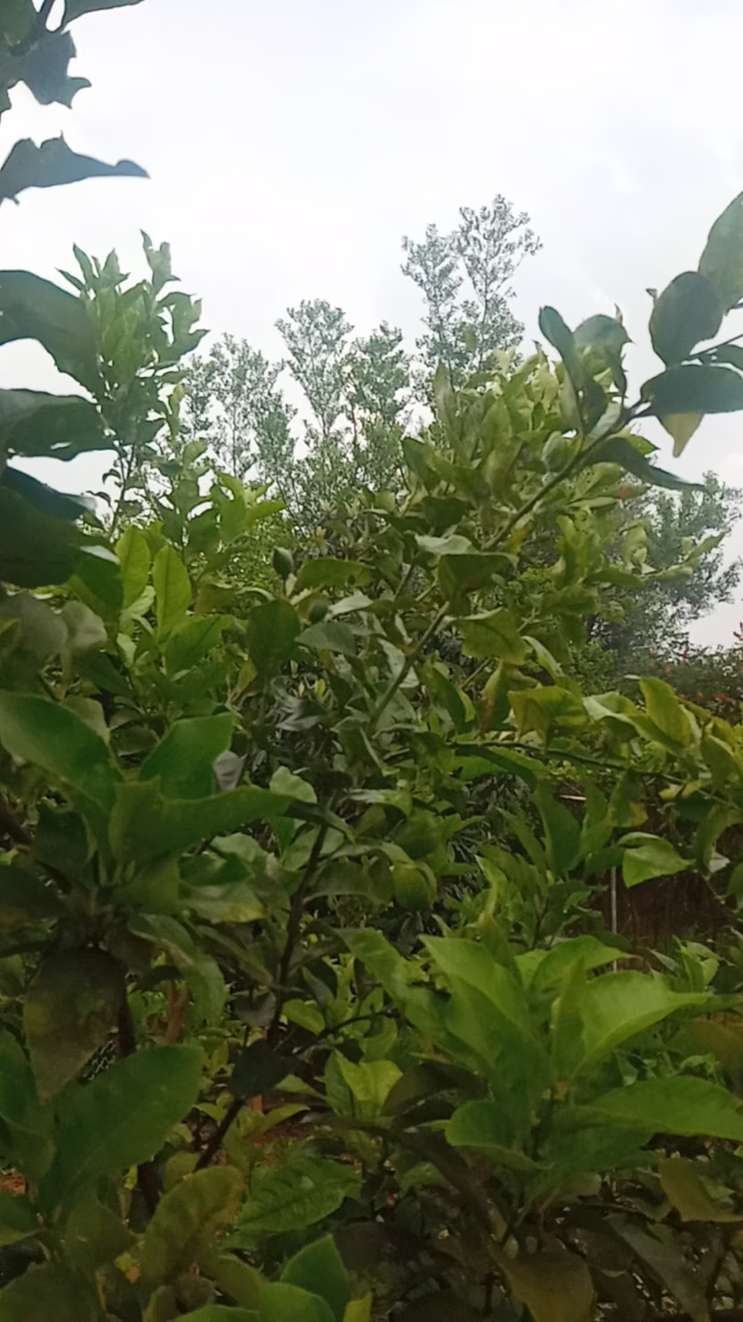 رمضان: شهر القرآن، و الصلاة، و الدعاء