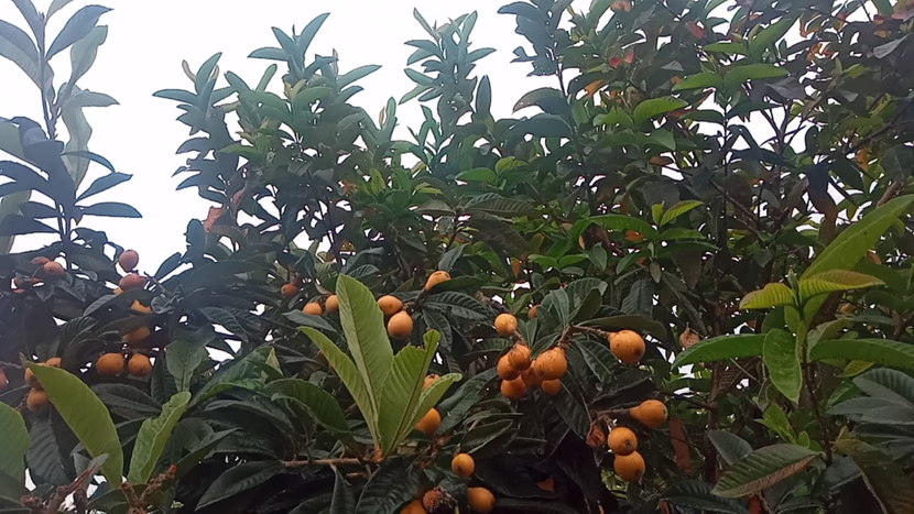 رمضان: شهر القرآن، و الصلاة، و الدعاء