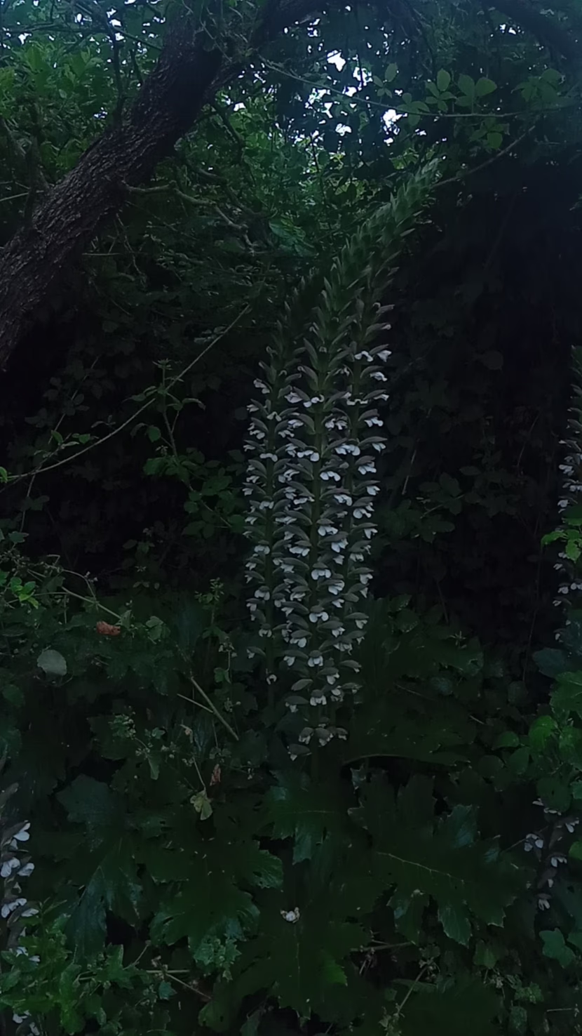 رمضان: شهر القرآن، و الصلاة، و الدعاء