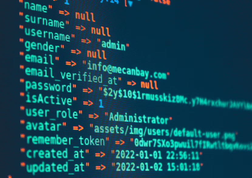 الأمن السيبراني: خط الدفاع الأول في العصر الرقمي