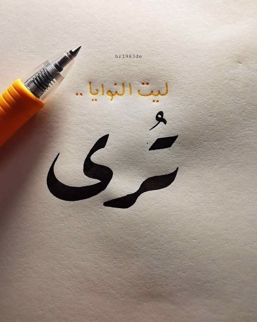 ياليتني لم اعد