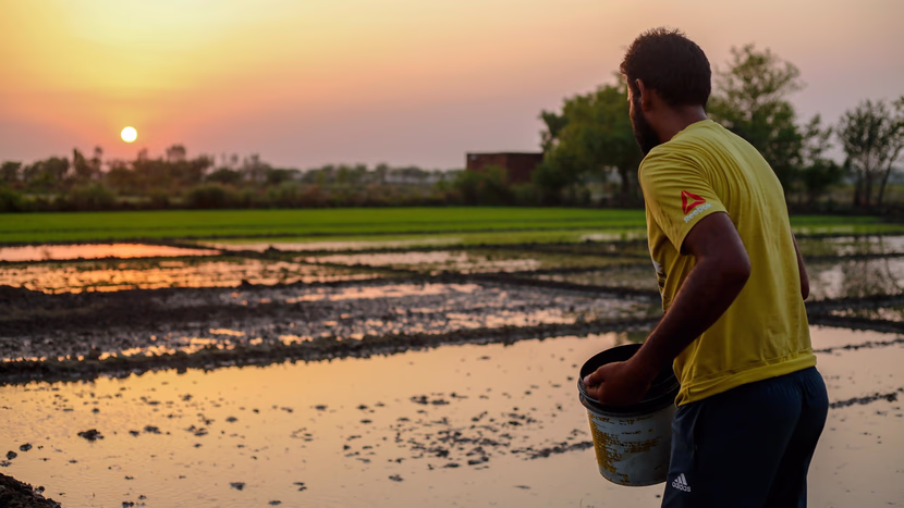 عودة الماضي (2)