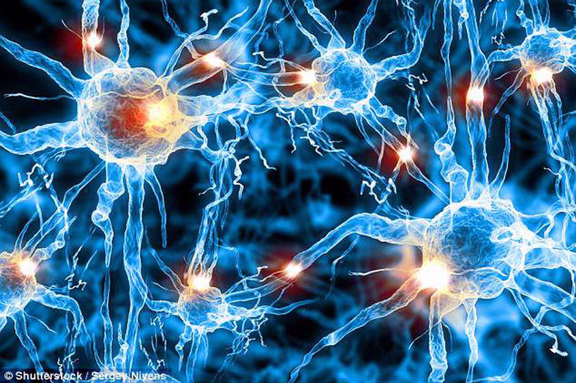 الدليل الشامل لكتابة المحتوي