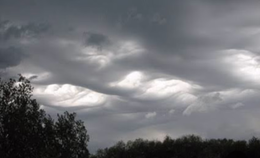 السعادة بين الحقيقة والأوهام