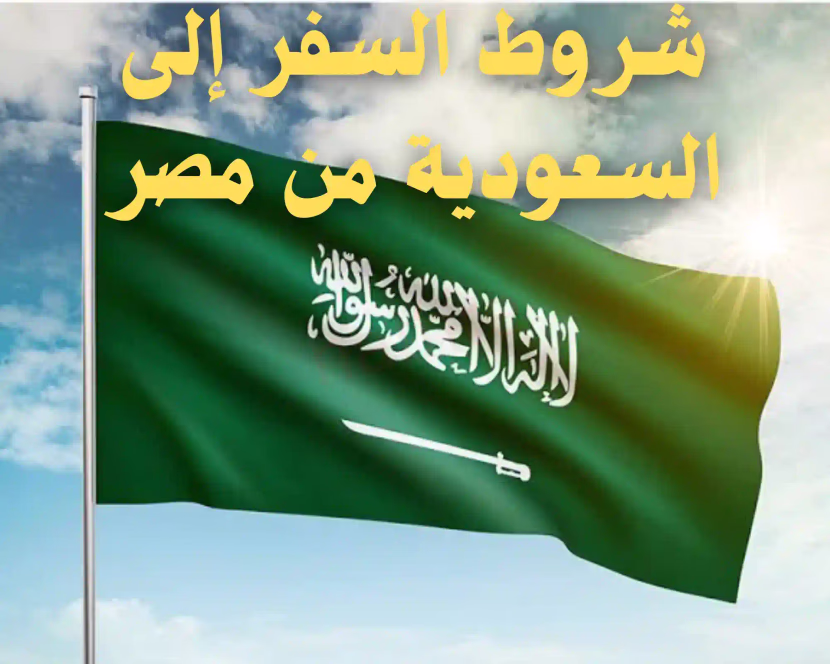 السفر إلى السعودية: كيفية الحصول على التأشيرة وأهم الأوراق والإجراءات للسفر إلى السعودية من دول أخرى