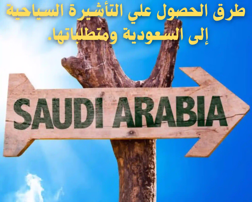السفر إلى السعودية: كيفية الحصول على التأشيرة وأهم الأوراق والإجراءات للسفر إلى السعودية من دول أخرى
