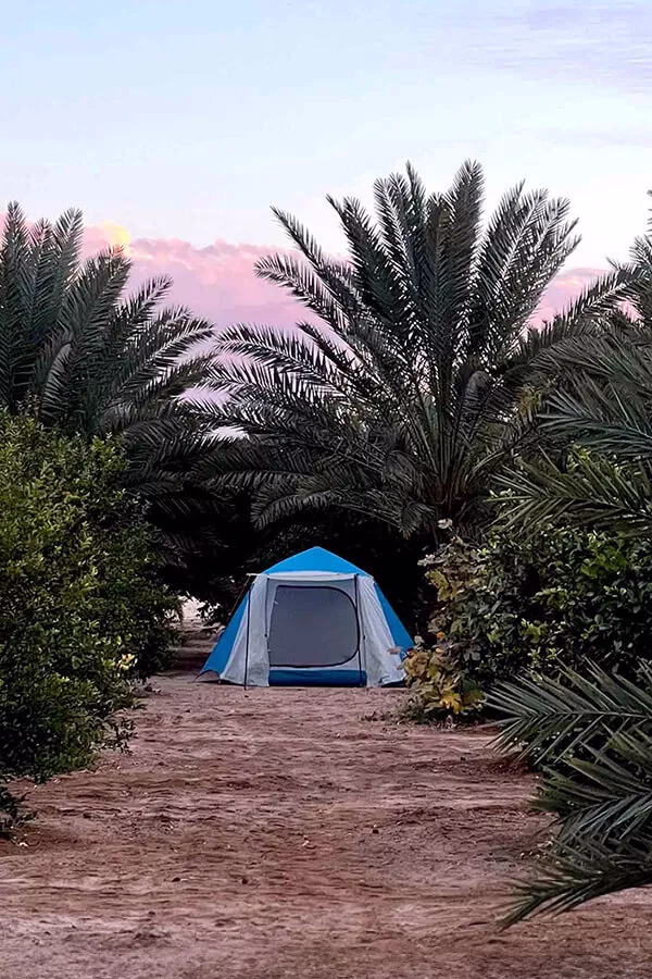 سماء العلا… مهرجان النجوم السنوي الأول من نوعه في العالم العربي