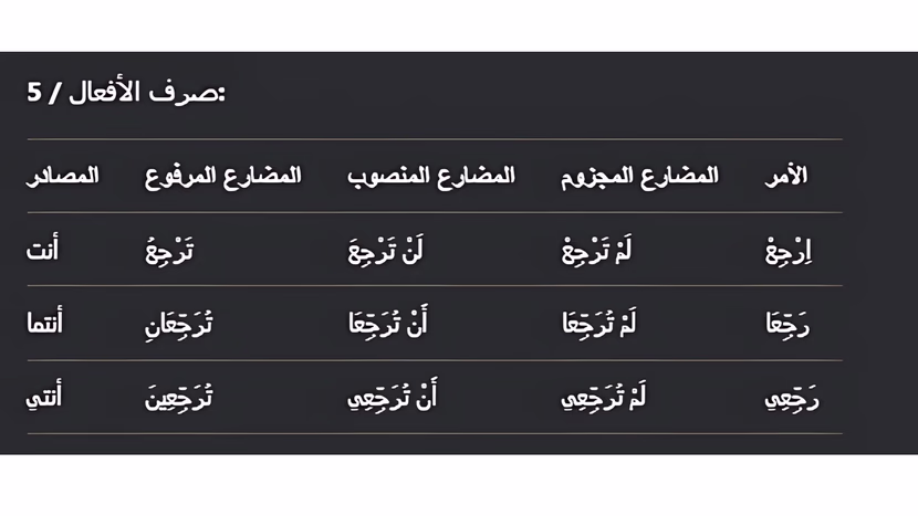 فرض تأليفي عدد 2 في دراسة نص – سنة سابعة أساسي ـ الثلاثي 2 مع الإصلاح الشامل