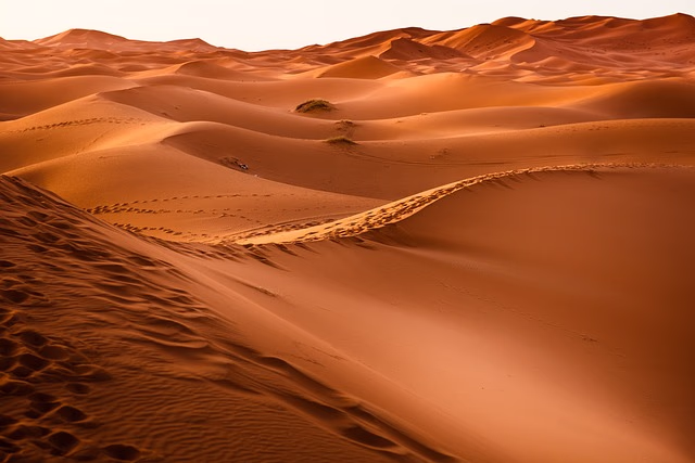 سِفْر الرمال – بوابة الخلود