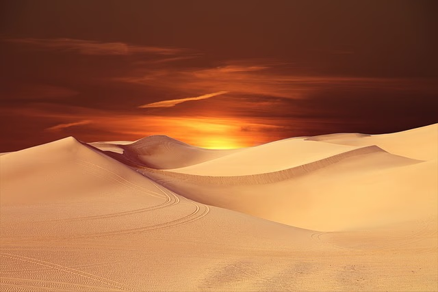 سِفْر الرمال – بوابة الخلود