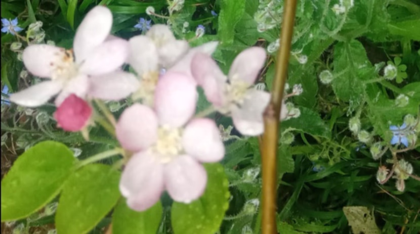 رمضان: شهر القرآن.. و الصلاة.. و الدعاء