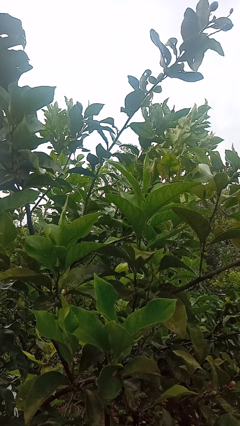 رمضان: شهر القرآن.. و الصلاة.. و الدعاء