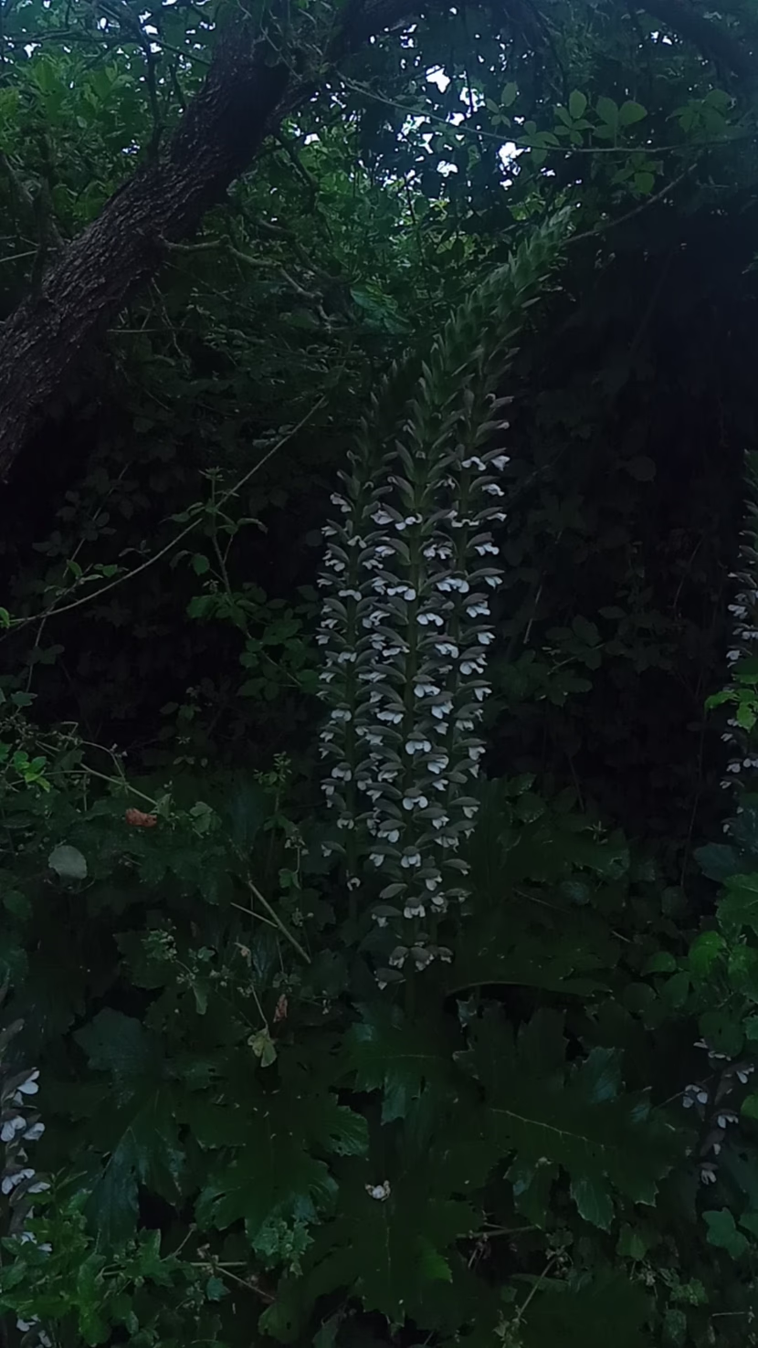 رمضان: شهر القرآن.. و الصلاة.. و الدعاء