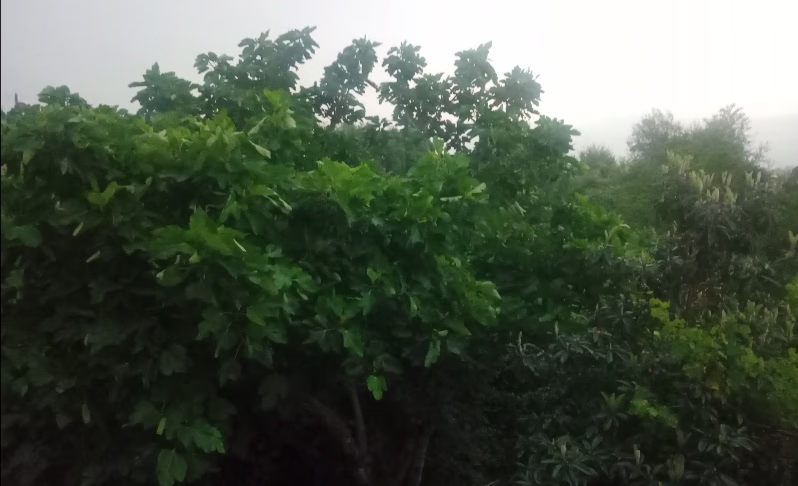 رمضان: شهر القرآن.. و الصلاة.. و الدعاء