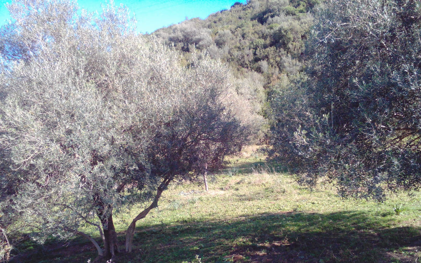 رمضان: شهر القرآن.. و الصلاة.. و الدعاء