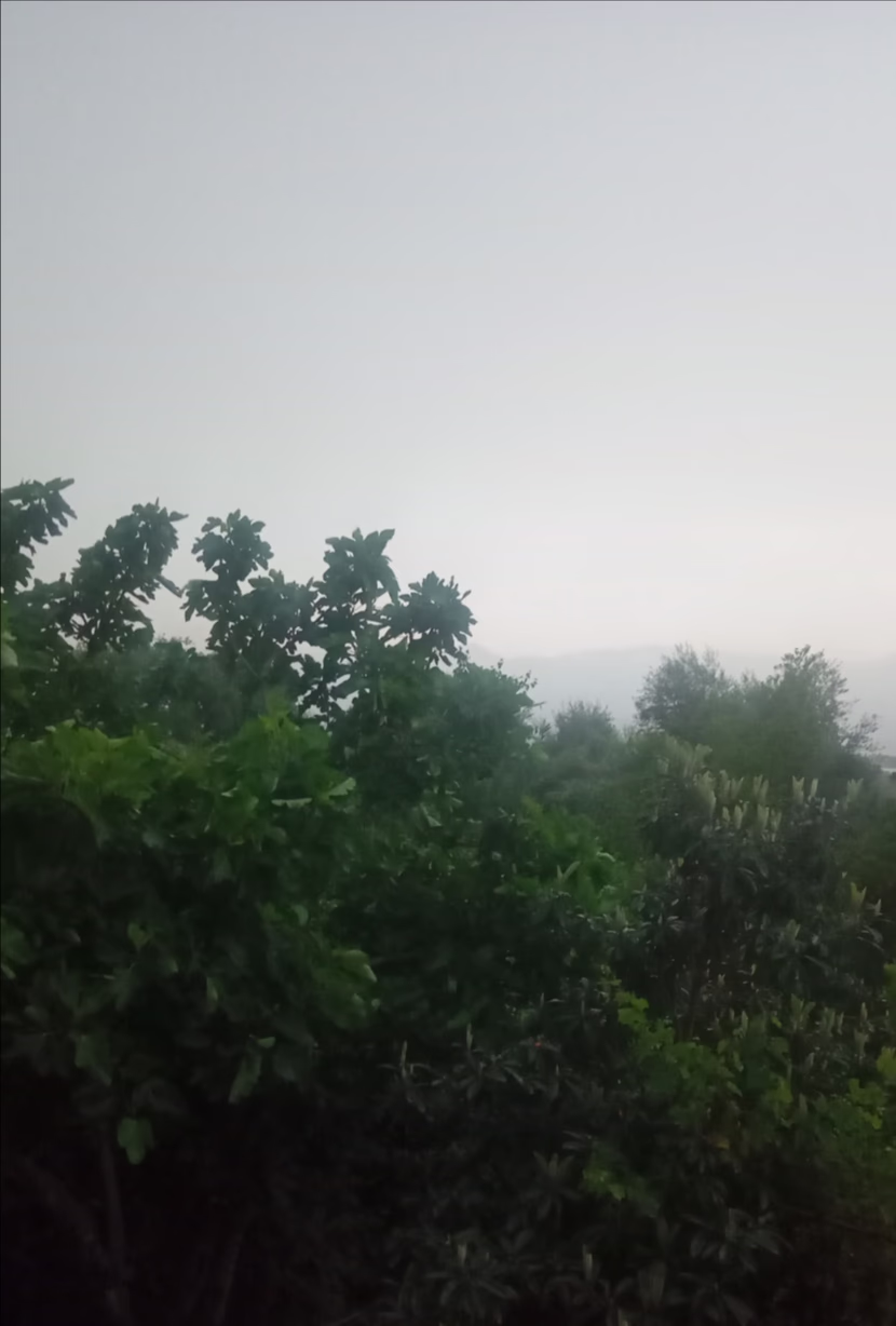 رمضان: شهر القرآن.. و الصلاة.. و الدعاء