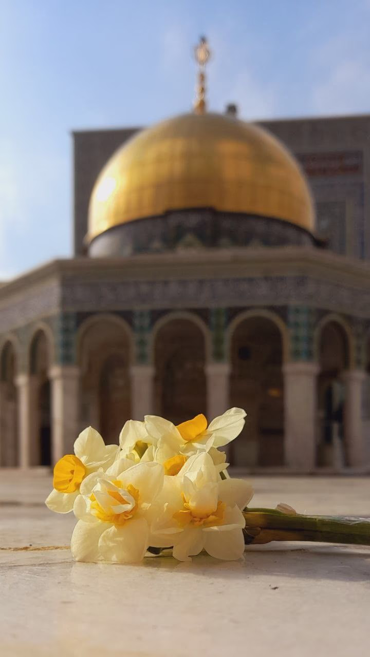 وجهة السياحة الدينية أم للسياحة السوداء؟ إلى ماذا ينوي الكيان تحويل الأراضي المقدسة؟