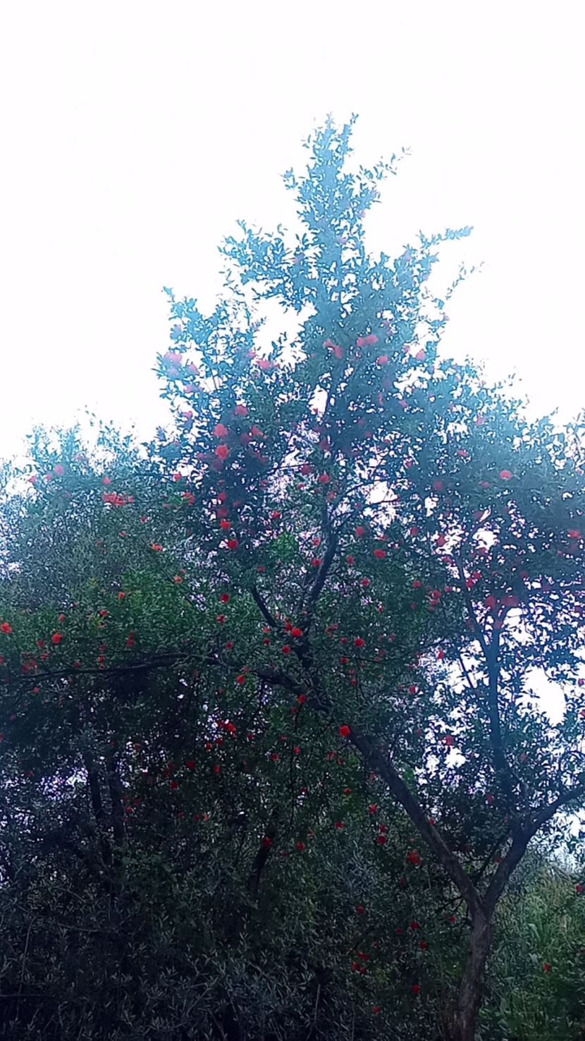 رمضان: شهر القرآن.. و الصلاة.. و الدعاء