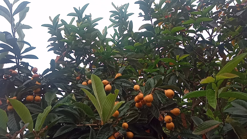 رمضان: شهر القرآن.. و الصلاة.. و الدعاء