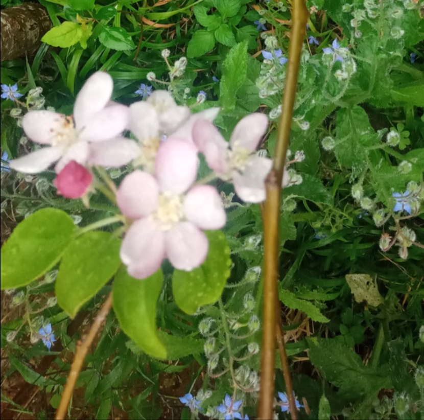 رمضان: شهر القرآن.. و الصلاة.. و الدعاء