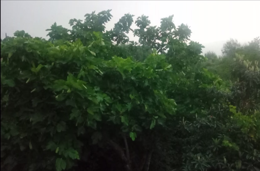 رمضان: شهر القرآن.. و الصلاة.. و الدعاء