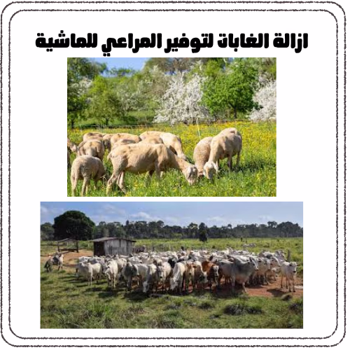 ازالة الغابات واثرها علي البيئة