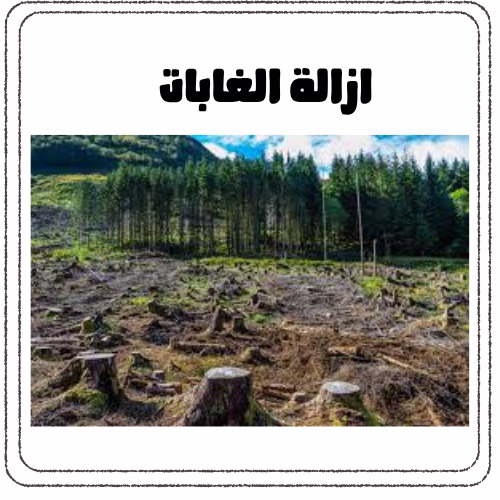 ازالة الغابات واثرها علي البيئة